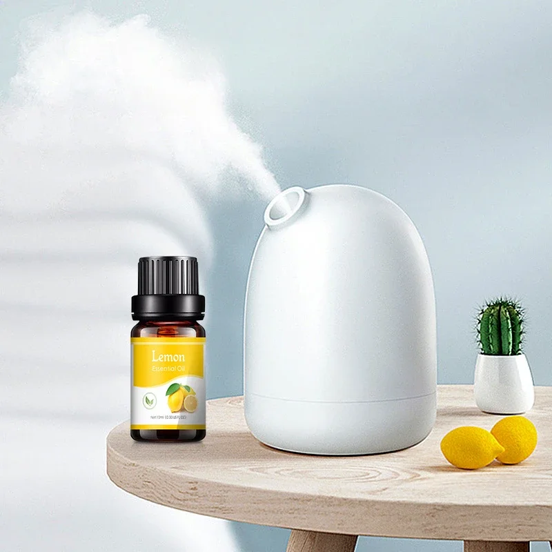 10ml doğal bitki yapma difüzör - Perfume Fragrance Making incelemesi ve fiyatı