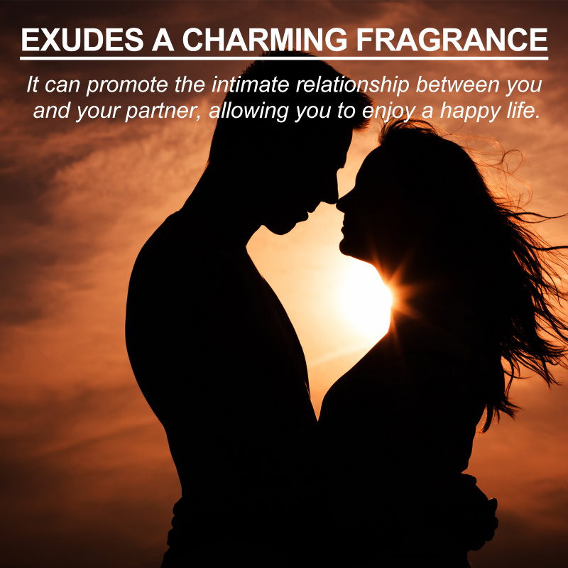 Roxelis Erkek Kolonyası Doğal  - Perfume Fragrance Tous incelemesi ve fiyatı