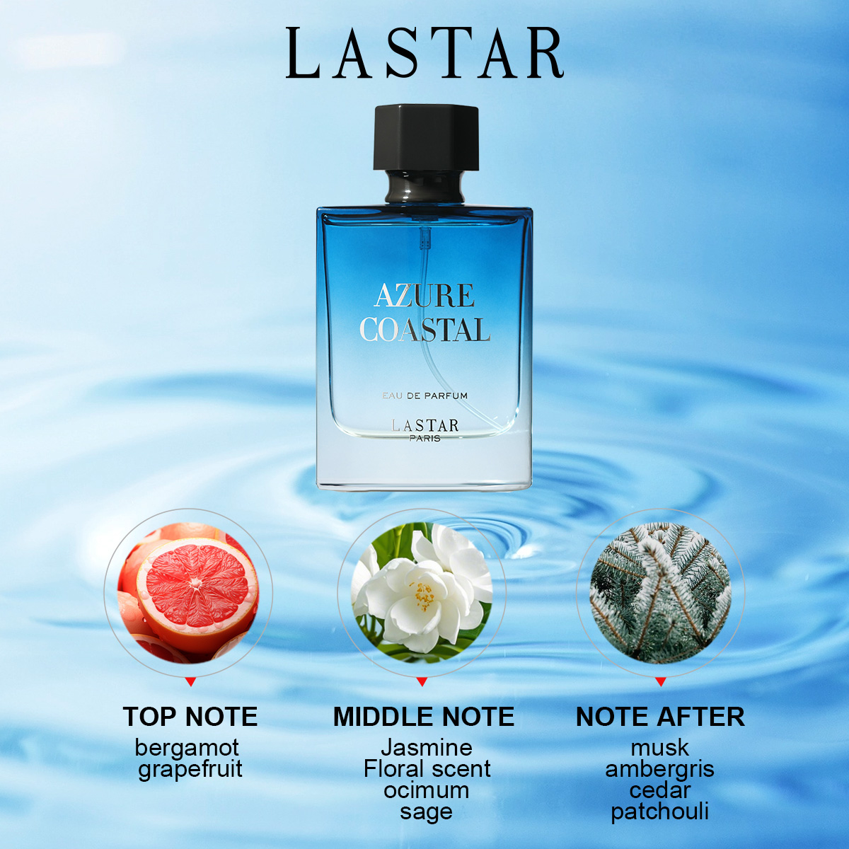 LASTAR Erkek Parfümü, Toplam 1 - Perfume Fragrance Couture incelemesi ve fiyatı
