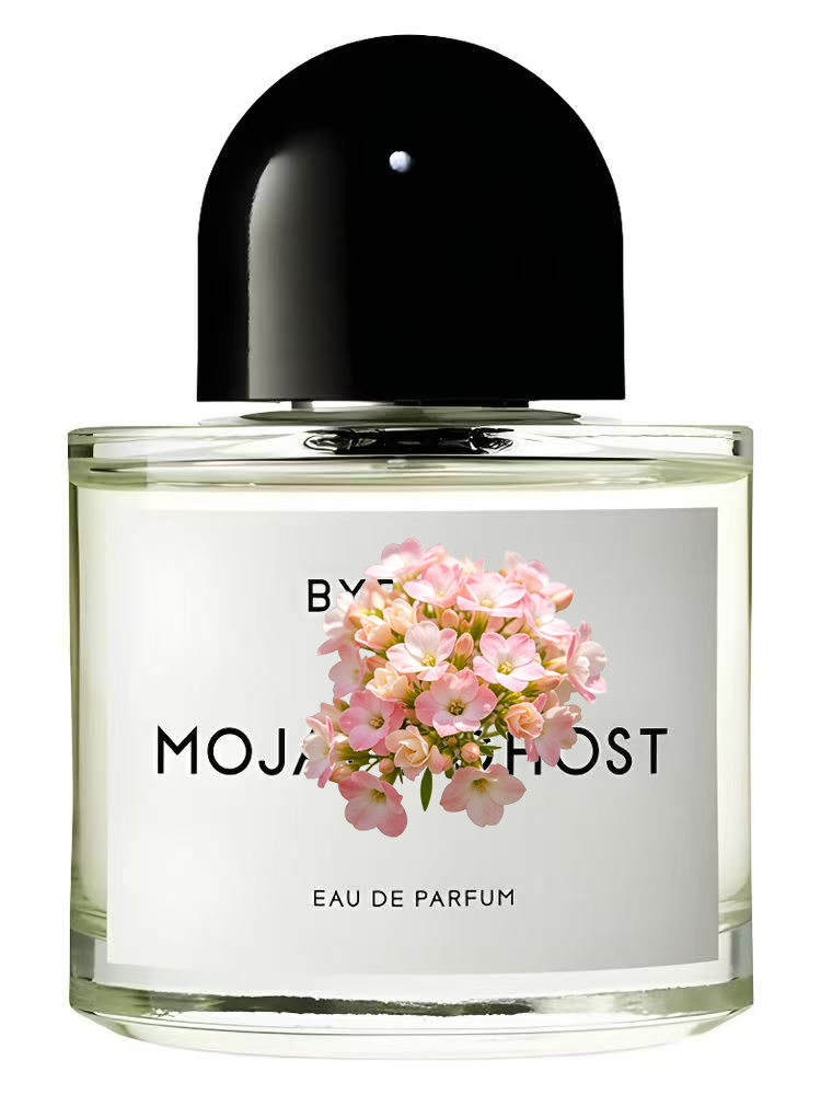 MOJAVE STOKTA YOK Unisex Eau d - Perfume Fragrance Couture incelemesi ve fiyatı